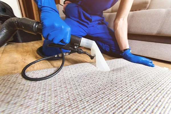 rug cleaning